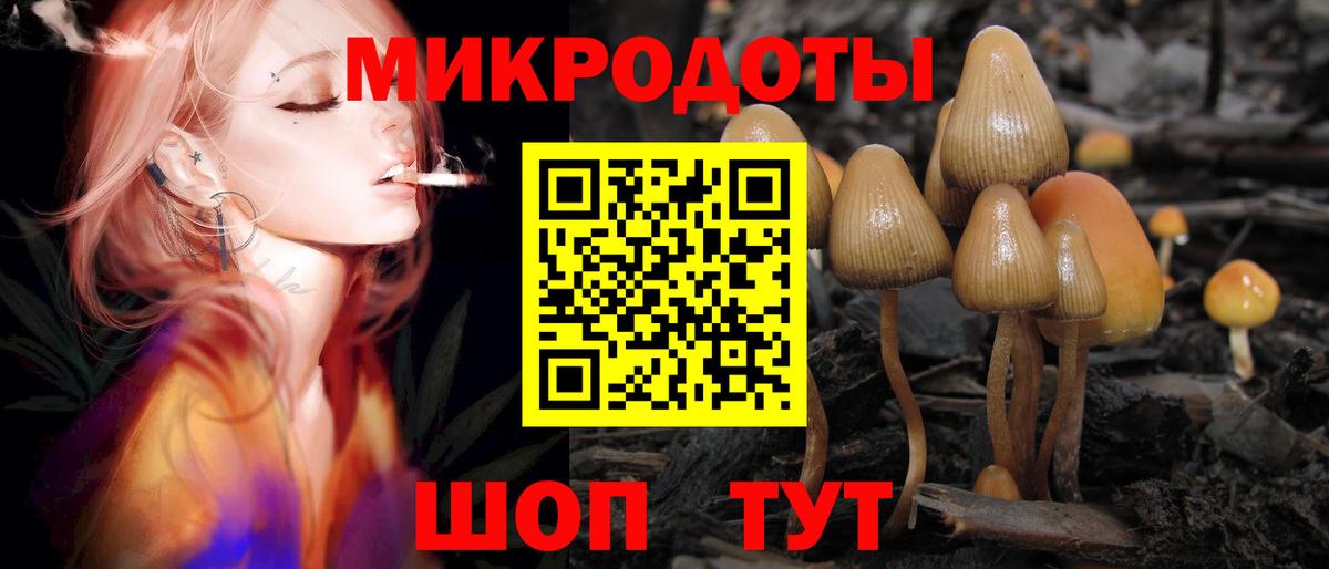 Псилоцибиновые грибы мухоморы Шебекино
