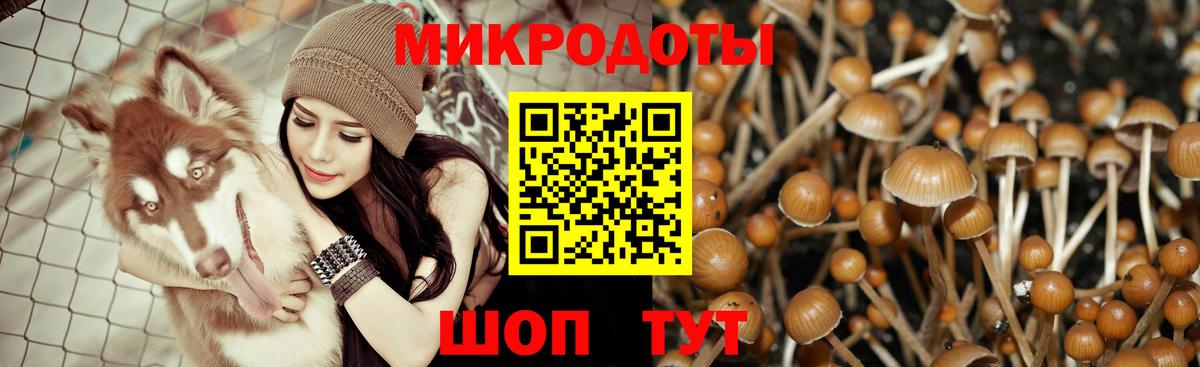 Псилоцибиновые грибы мухоморы  как найти   Шебекино  Вход с VPN  Галлюциногенные грибы прущие грибы 